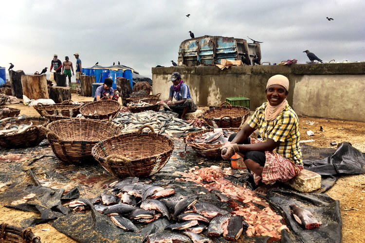 Negombo-fish-markets-in-Sri-Lanka.-Photo-Angela-Saurine
