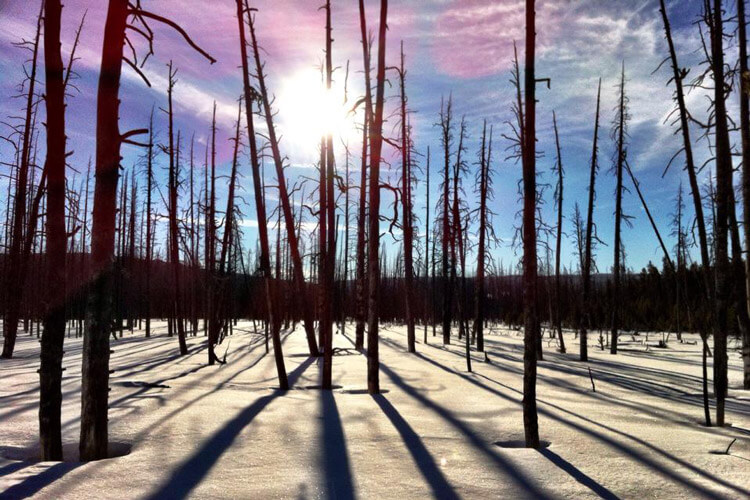 Yellowstone-shadows